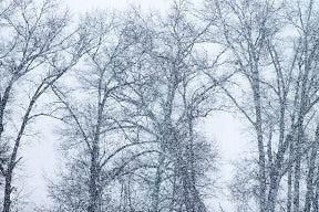 Winter Storms and Fence Repair - Fences by All Type Fence