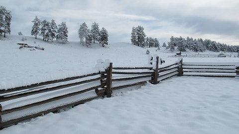 Winter Fence Maintenance - Fences by All Type Fence